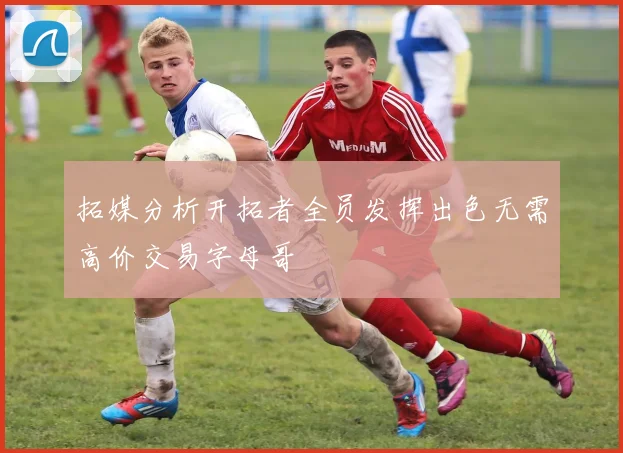 拓媒分析开拓者全员发挥出色无需高价交易字母哥