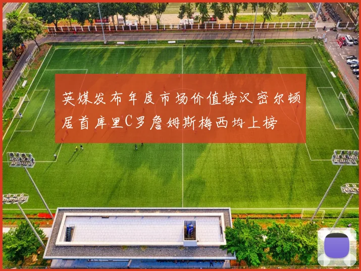 英媒发布年度市场价值榜汉密尔顿居首库里C罗詹姆斯梅西均上榜